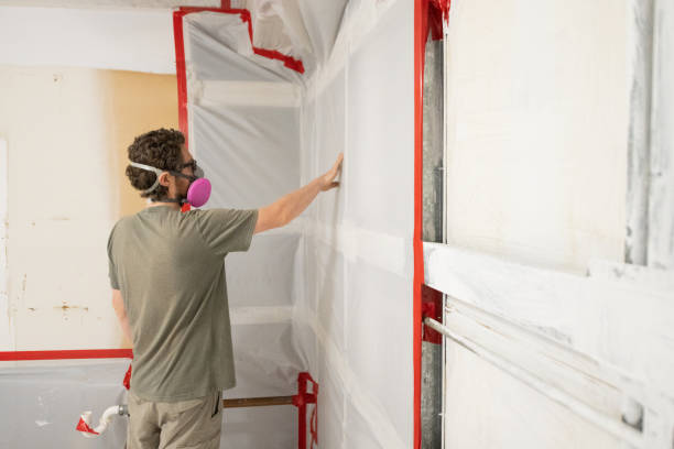 Professional Mold Removal in Rock Creek, AL