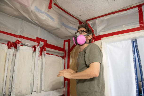 Best Post-Construction Mold Inspection  in Rock Creek, AL