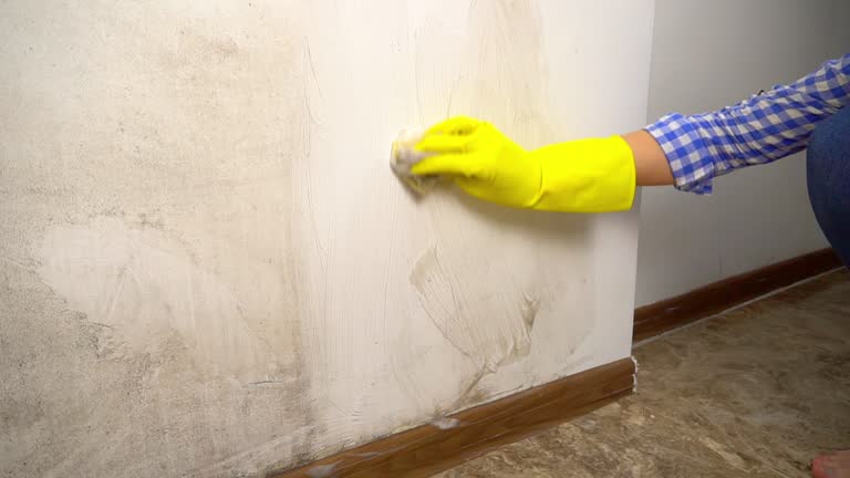 Best Post-Construction Mold Inspection  in Rock Creek, AL